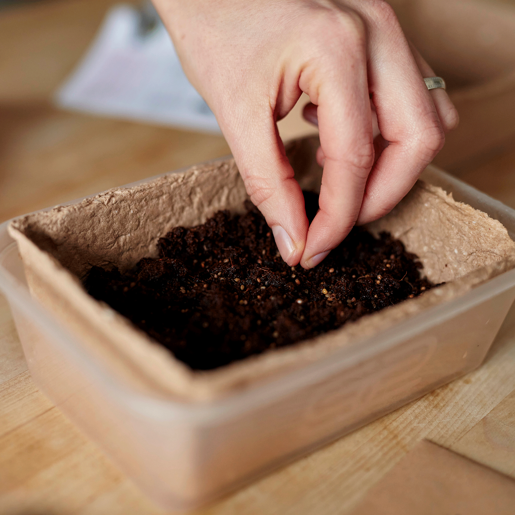 Compost in cardboard container