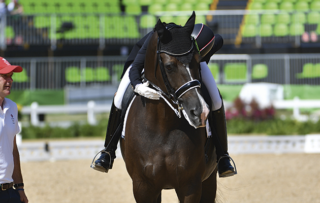 Valegro hartpury