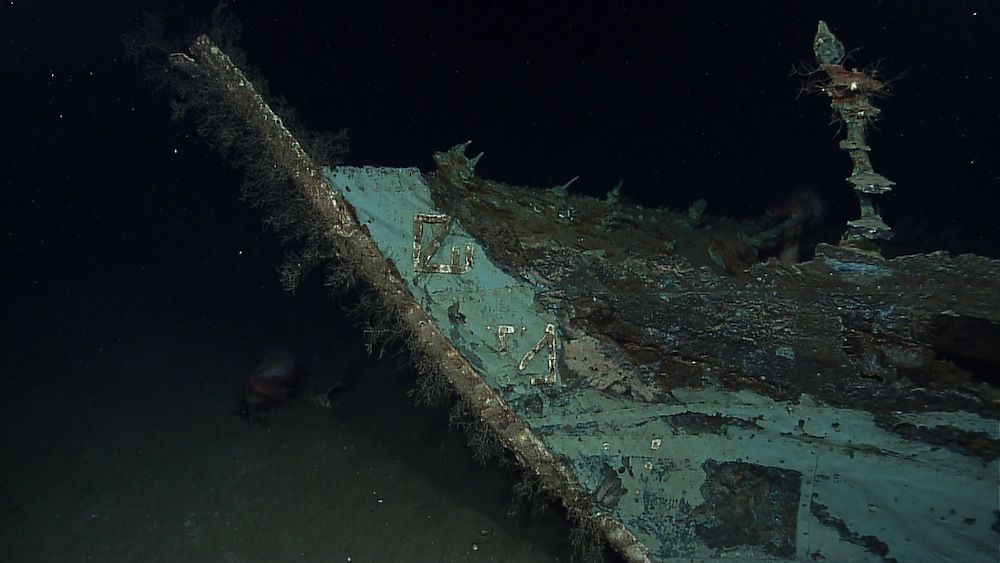 A shipwreck in the Gulf of Mexico.