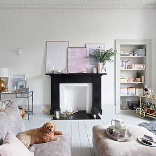 living area with white wall and fire place and wooden floor and dog