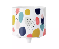 Argos Home Novelty Paint Planter | £11 now £8.25 at Argos (save £2.75)