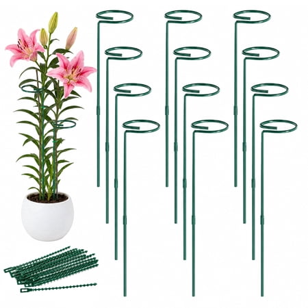 Slumlove 24 in Green Metal Plant Support Stakes, 12 Pack, 4.5 Mm Spiral Ring Garden Stakes With Plant Ties