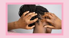 Woman with her braided hair tied up in a bun and hair tapping/ massaging her scalp/ in a pink template
