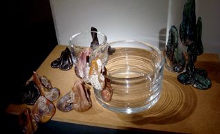 A small and large glass dish with pieces of mould and infestation designed to appear alongside and attached to them.