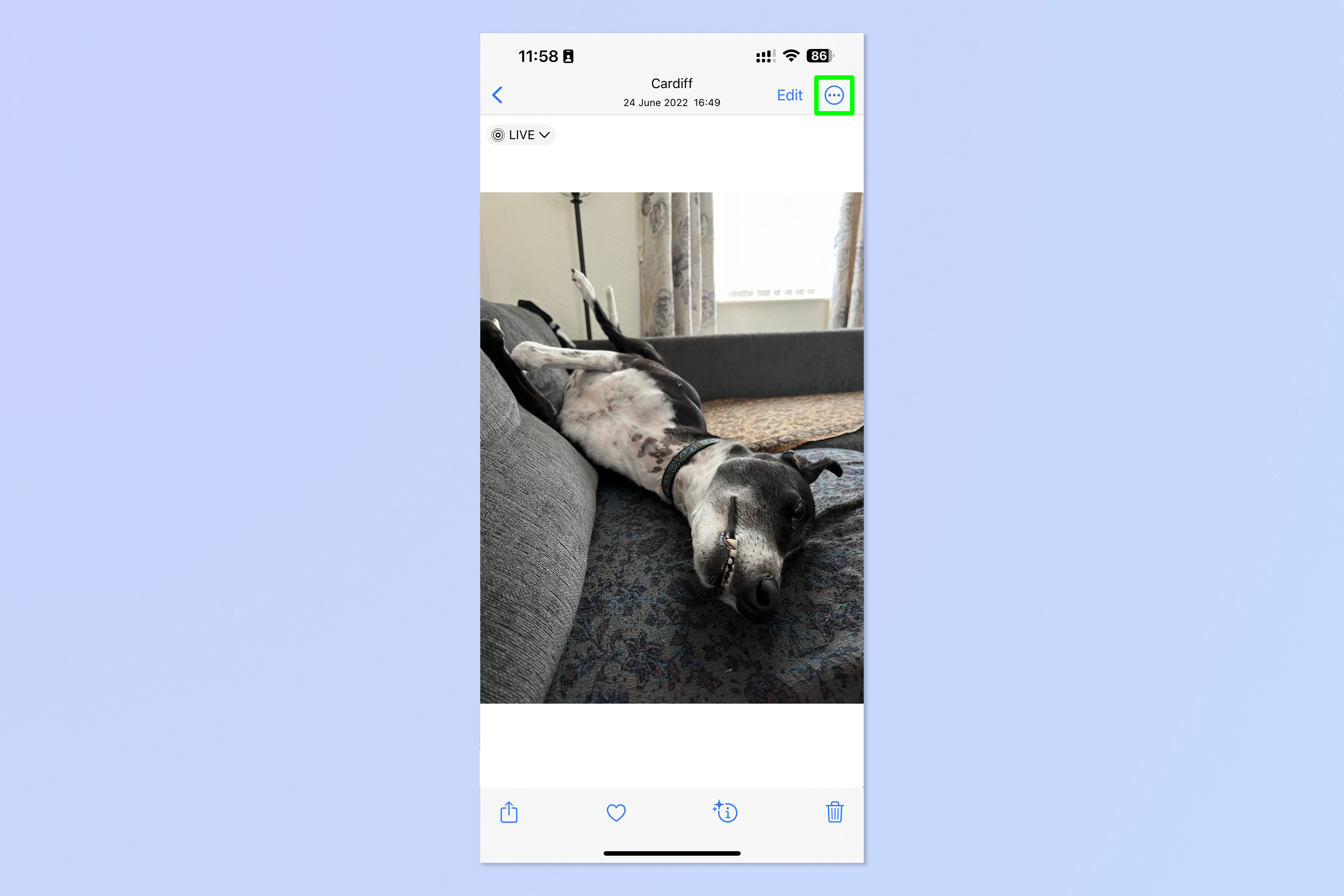 Скриншот, показывающий, как превратить живое фото в видео на iPhone.