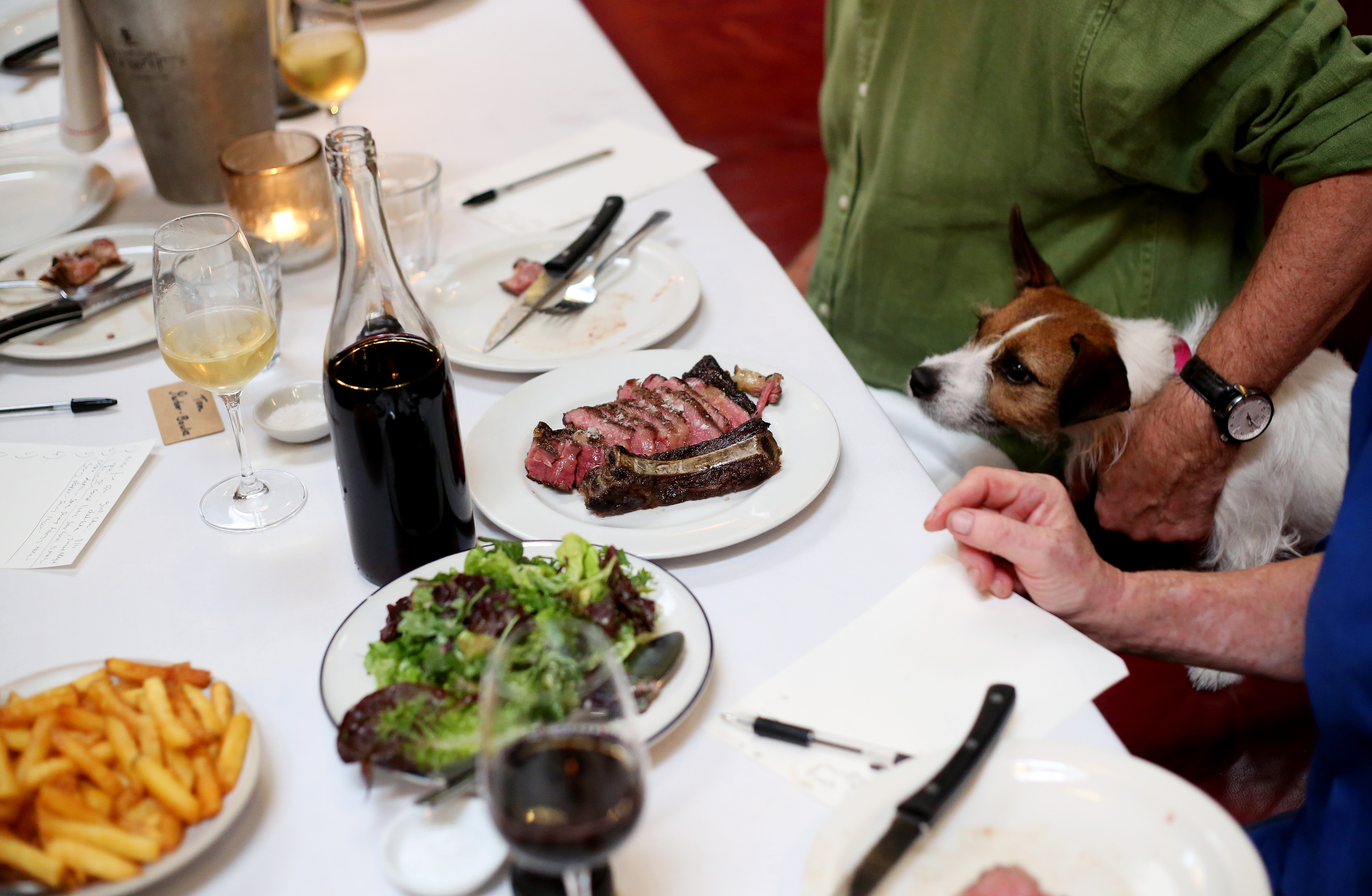 Steak tasting