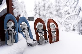 A blue pair of snowshoes and a red pair of snowshoes in white snow