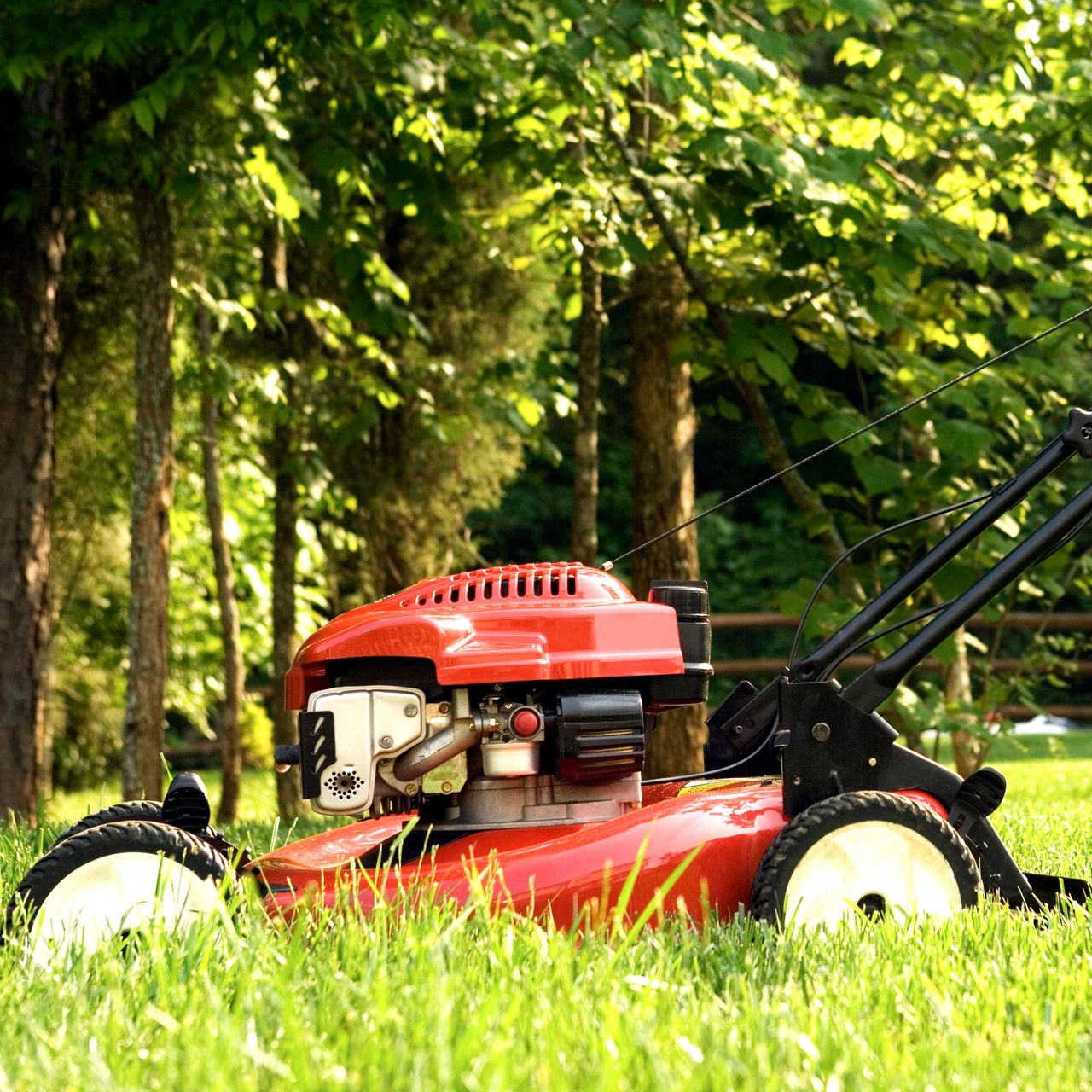 lawn mower on green grass in backyard