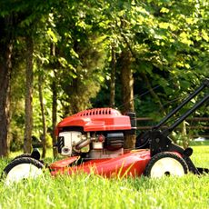 lawn mower on green grass in backyard