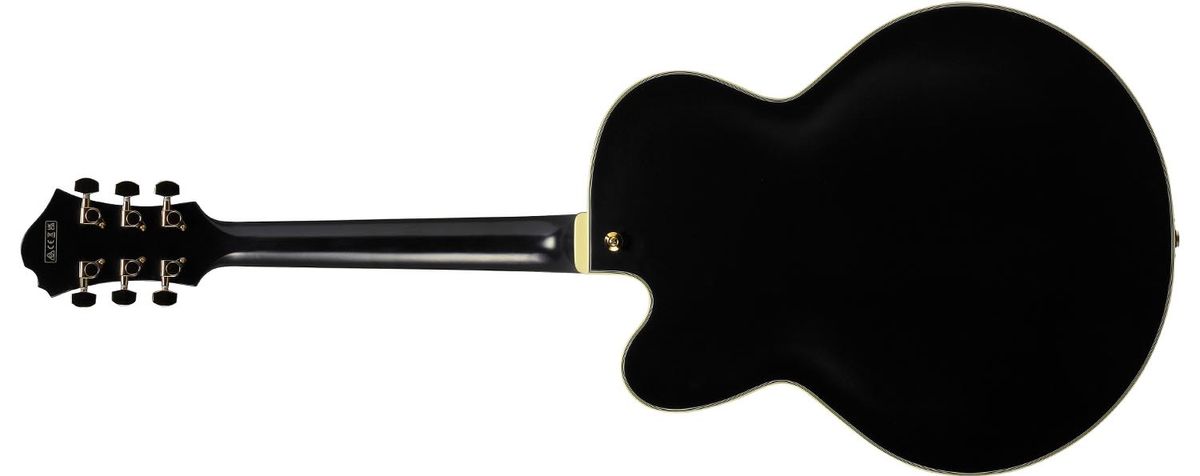 Ibanez Pat Metheny PM3C