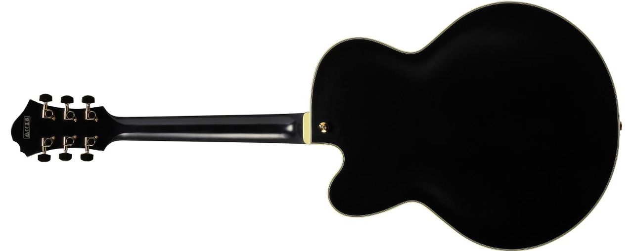 Ibanez Pat Metheny PM3C