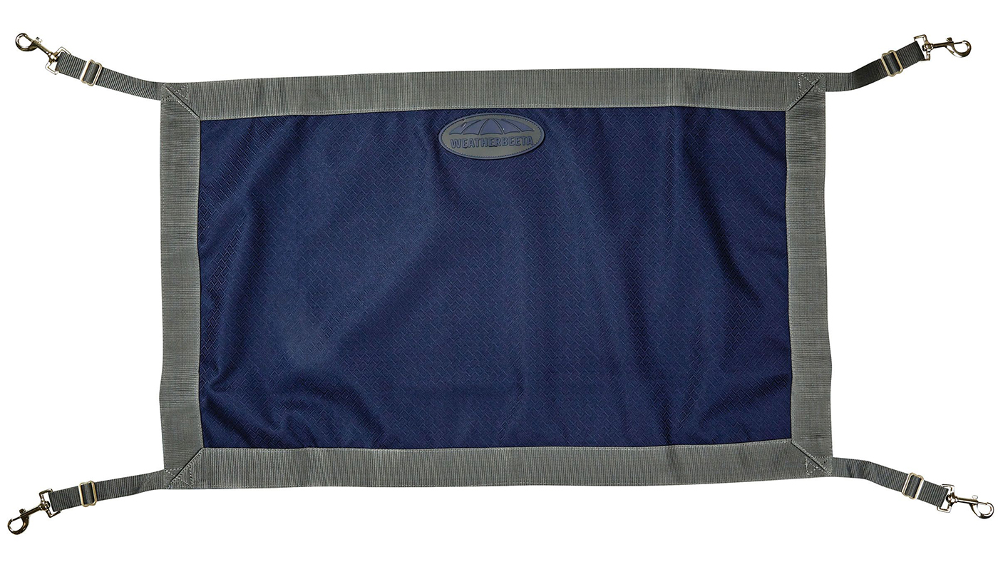 WeatherBeeta Stall Guard