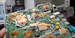 Mushroom Motherboard