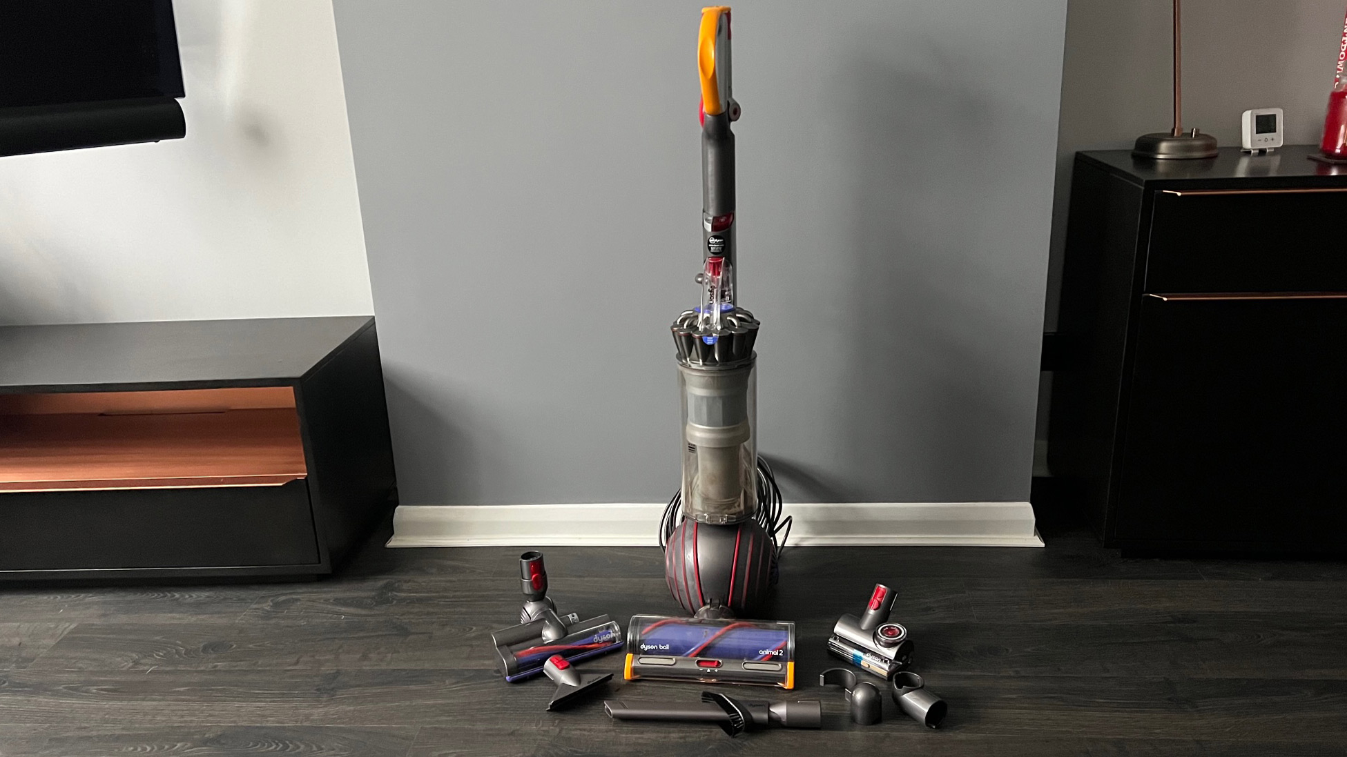 The Dyson Ball Animal 2 with all its accessories