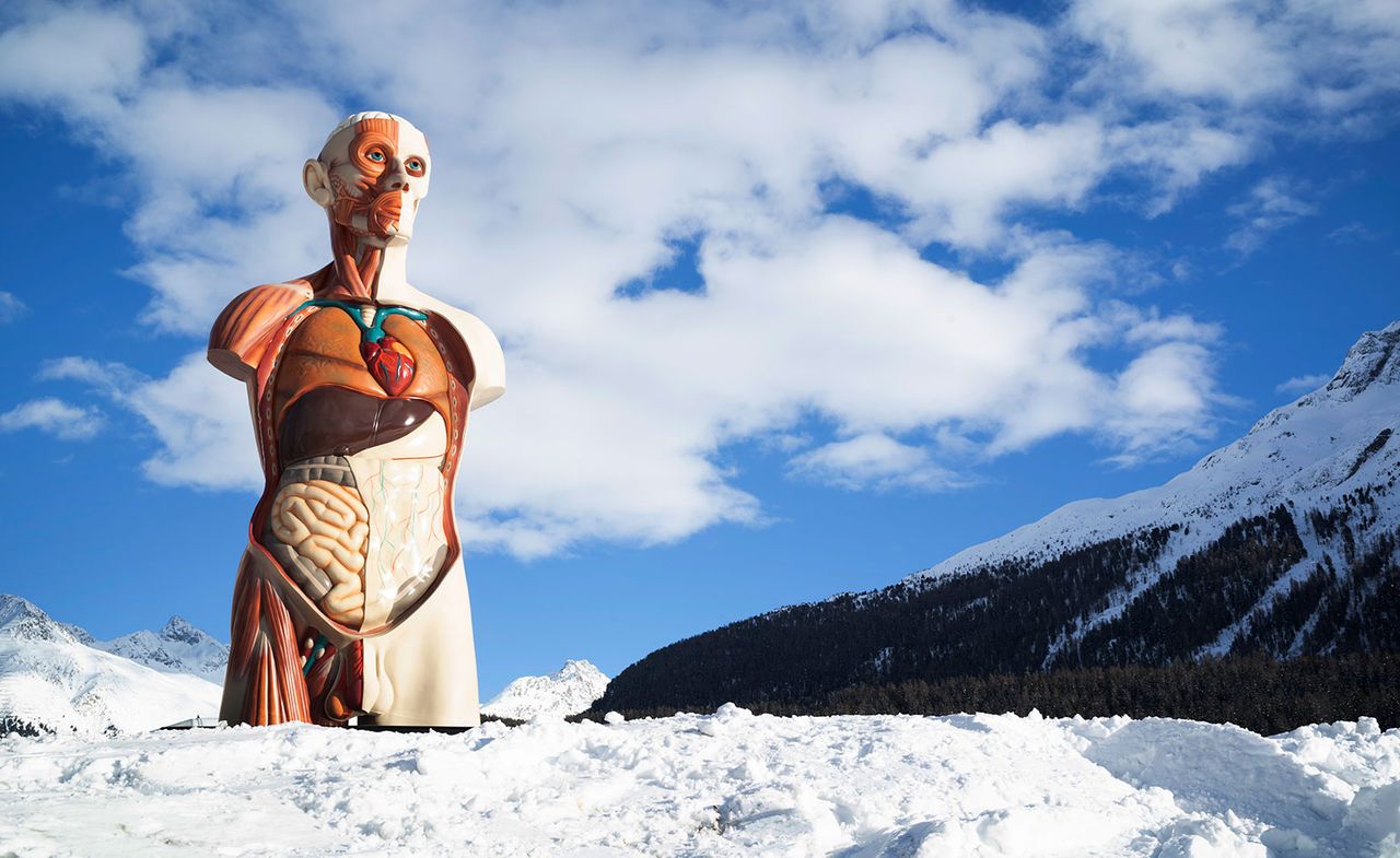 Photograph of Damien Hirst&#039;s Temple sculpture being installed on Lake St Moritz