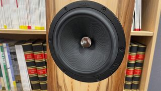 ProAc D20R floorstanding speakers in front of bookcase showing mid/bass unit