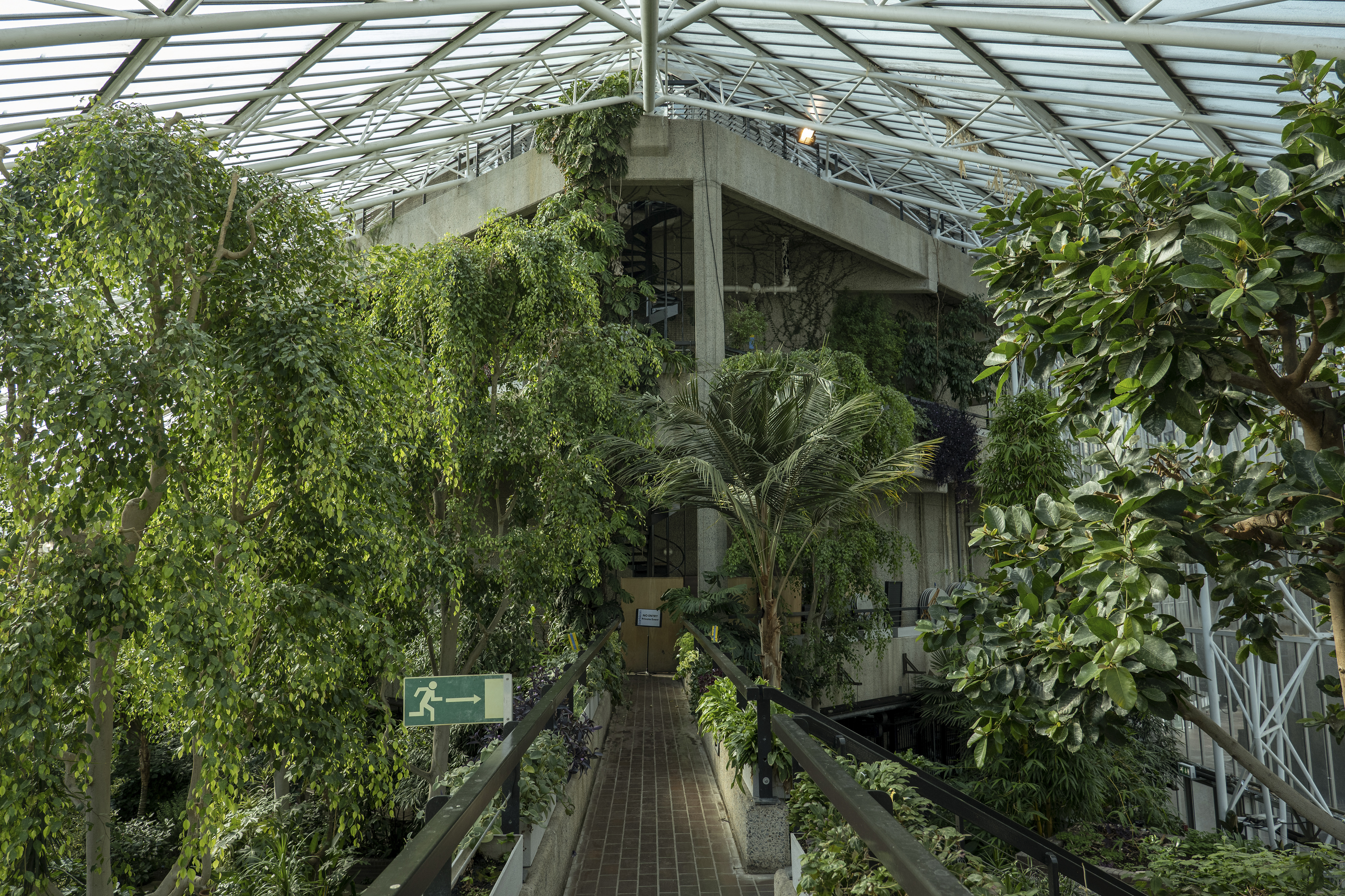 Inside the Barbican Centre conservatory on the 12th September 2019 in London in the United Kingdom. (photo by Sam Mellish / In Pictures via Getty Images)