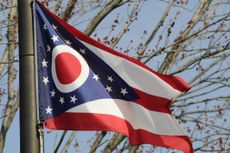 picture of the Ohio state flag on a pole against a blue sky and budding tree