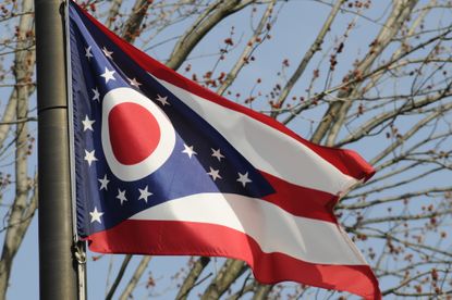 picture of the Ohio state flag on a pole against a blue sky and budding tree