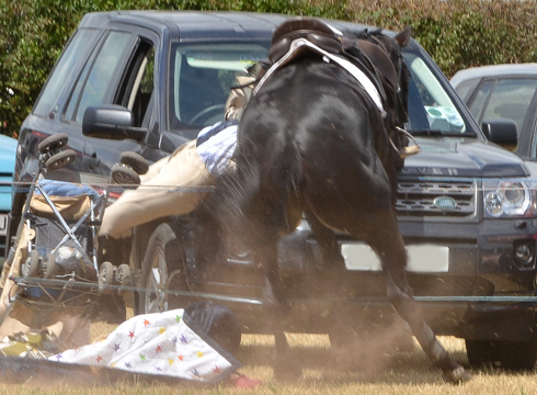 horse-bolts-at-minehead-harriers-dunster-show-2013-1.jpg
