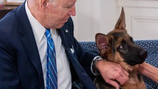 Joe Biden with his German Shepherd dog Commander