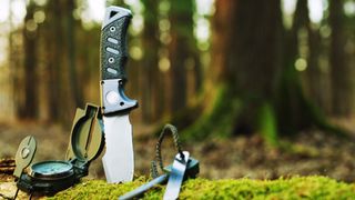 Camping knife stuck in mossy log in forest