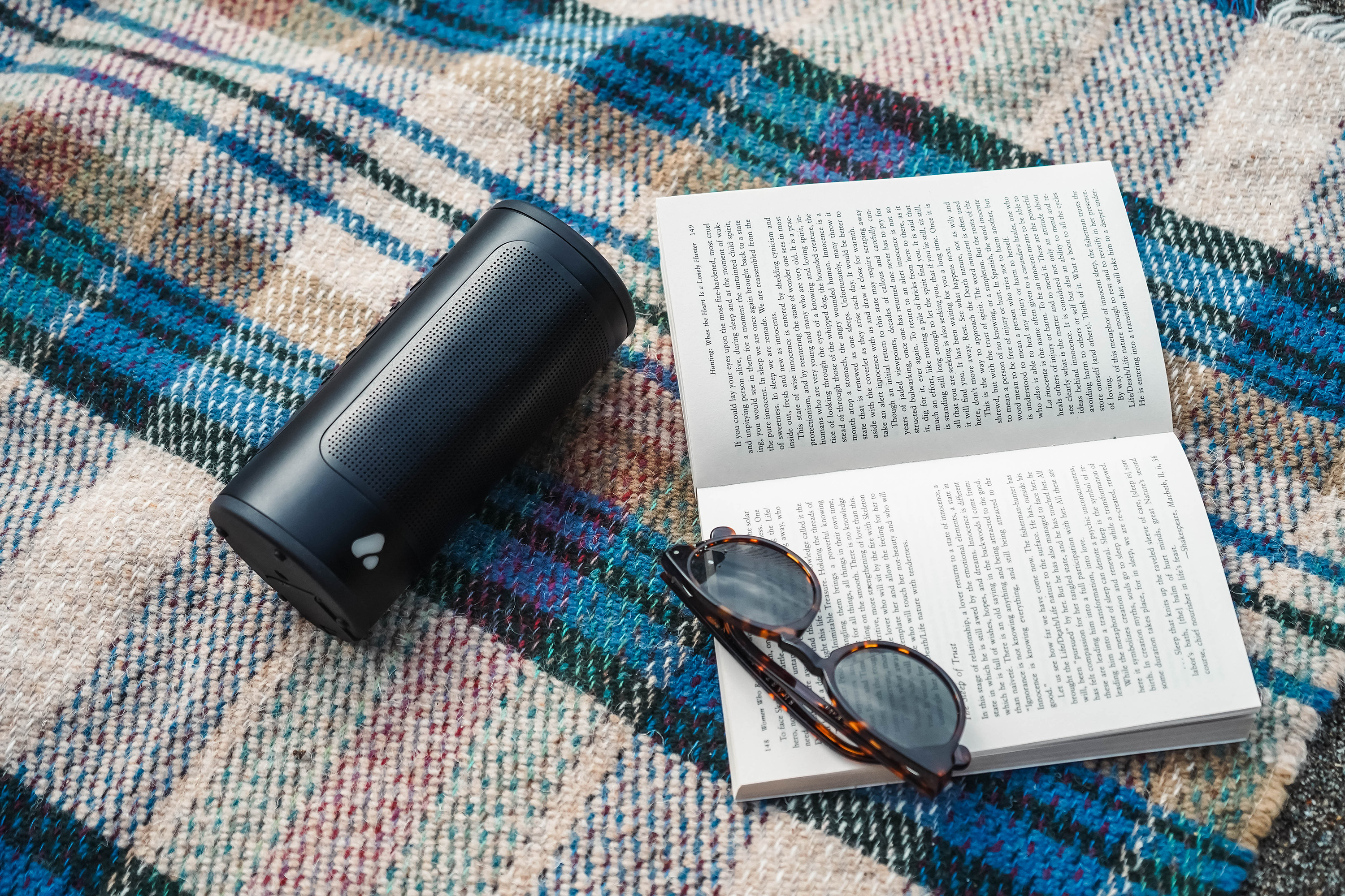 Pine Beat speaker