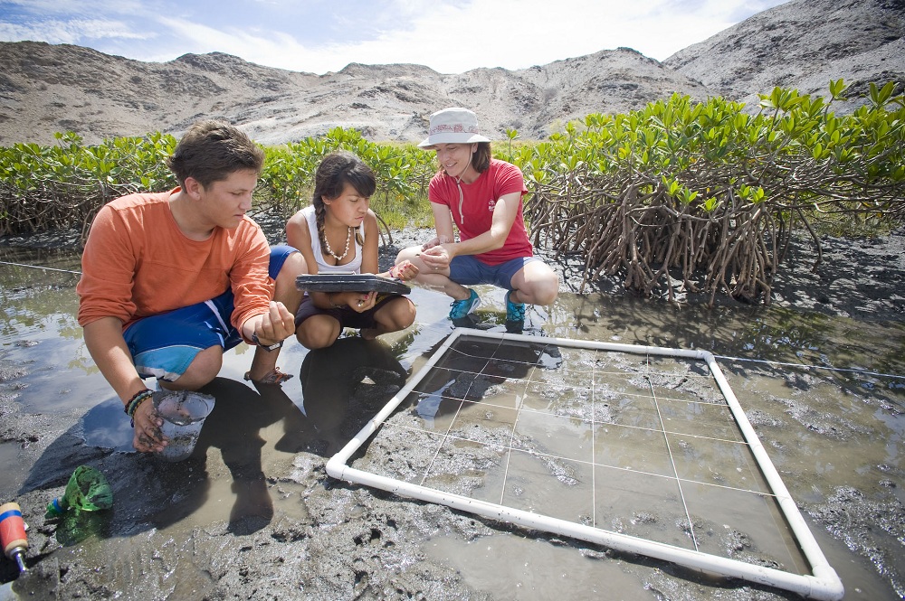 Ocean Discovery students Brenda Vazquez and Carlos Rodriguez with researcher Thersea Talley, conducting wetland research in Bahia de Los Angeles, Baja California.