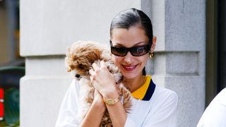 adorable pics of celebrities and their pets
