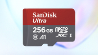 SanDisk 256GB Ultra microSDXC
UHS-I Memory Card with Adapter
100MB/s