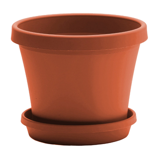 Bloem Terra Pot Planter: 16