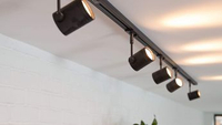 Hive dimmable spotlight bulb