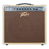 Peavey Classic 20