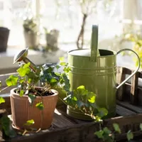 Magnolia Market Green Enamel Watering Can