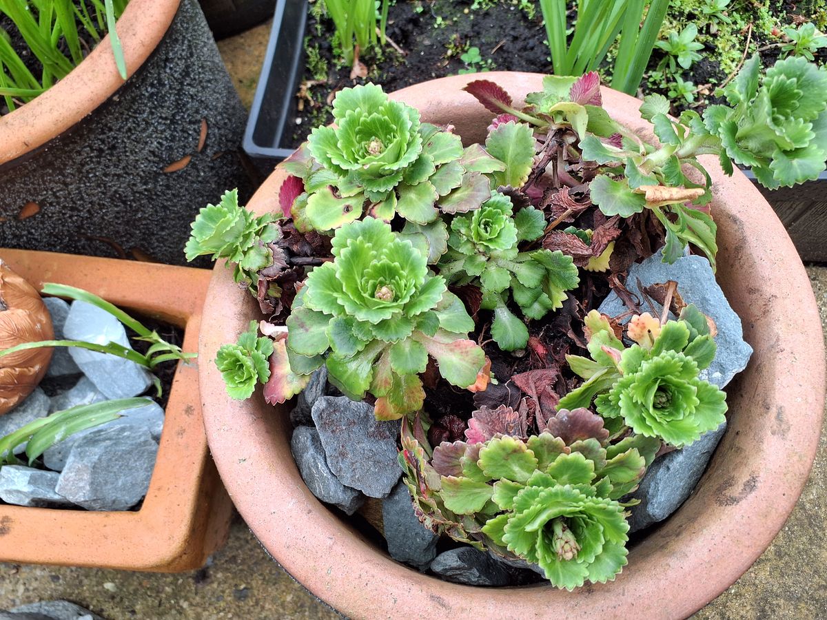 Example images from Samsung Galaxy Tab Active5