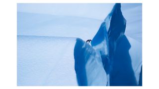 Photography of a penguin on an ice shelf in Antarctica by American photographer Eric Meola, titled 'Penguin Contemplation, Weddell Sea, Antarctica, 1998'