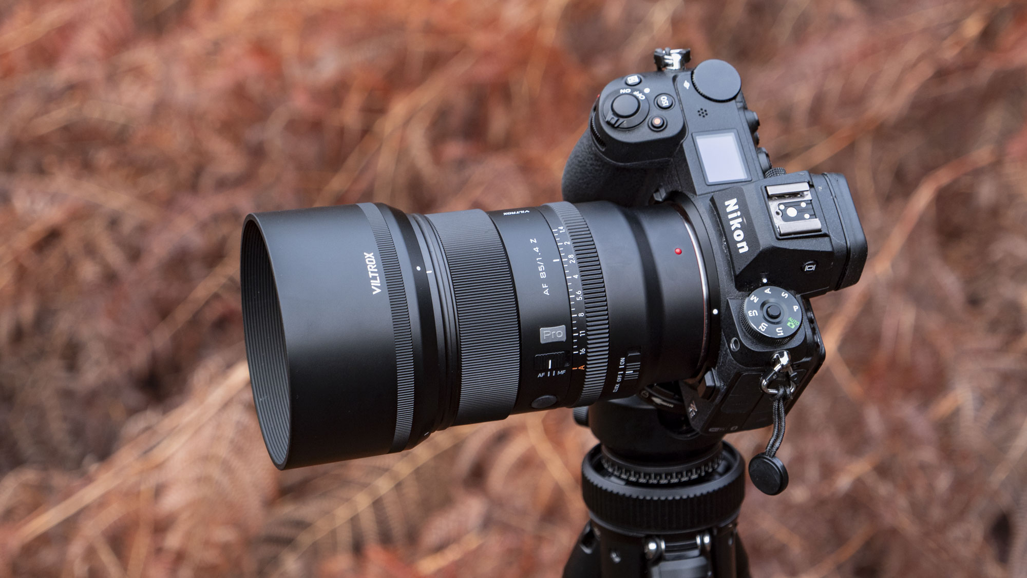 Viltrox AF 85mm F1.4 Pro lens attached to a Nikon camera, mounted to a tripod outdoors and with bronze-colored ferns in the background