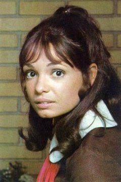 80058-19808_239x360.jpg