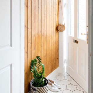 front door with plant and shoe