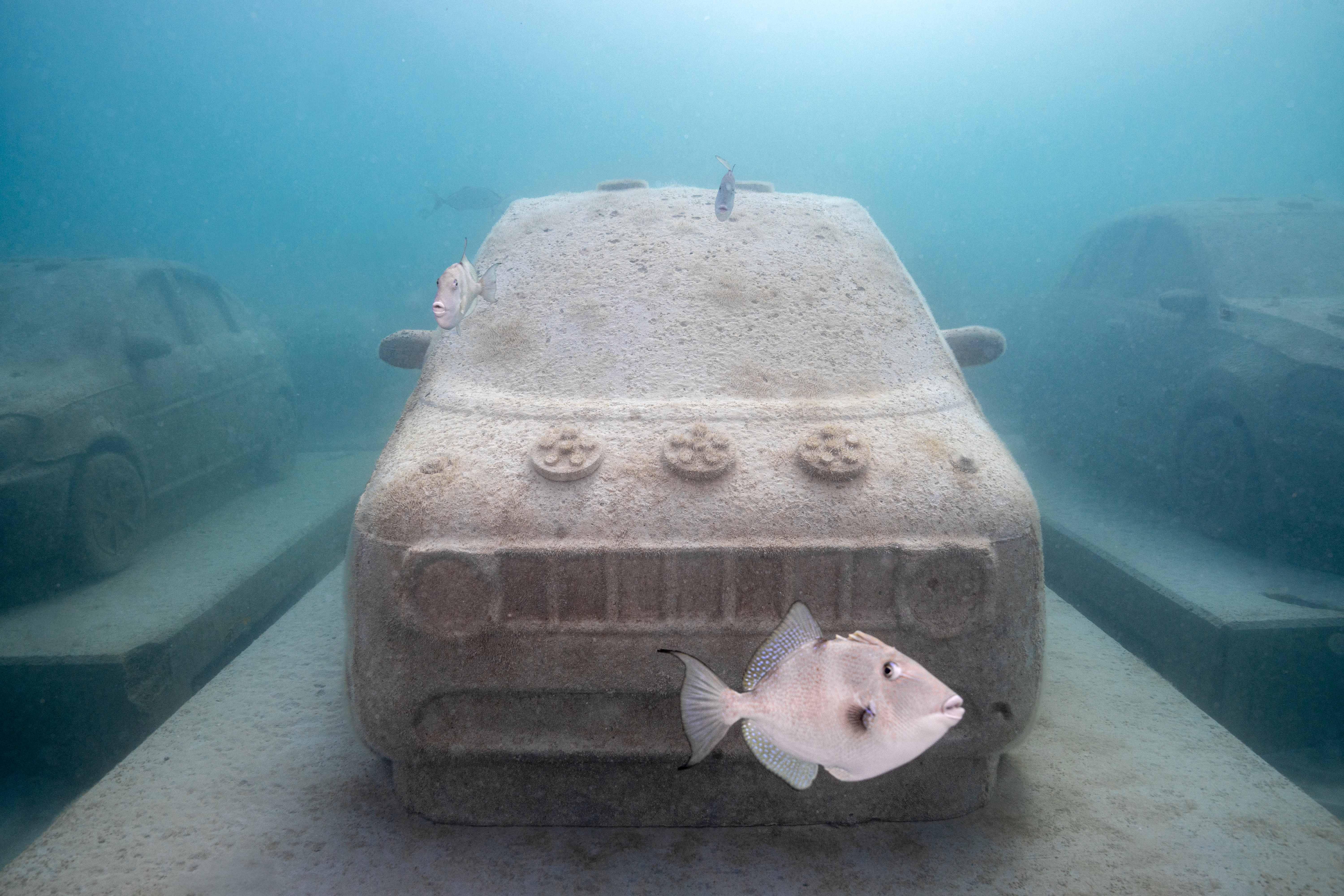 An underwater car and fish at Reefline