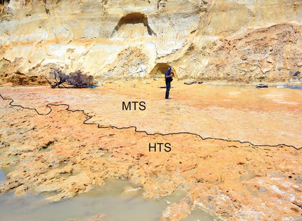 The footprints were found on on Matalasca&ntilde;as beach in Andalusia after storms and high tides exposed the surface where they were made (marked here as HTS), now just above the waterline of the coast.