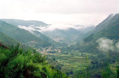 Vinho Verde wines