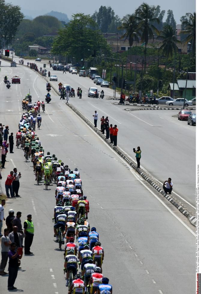 The peloton head down one of the many long straight roads along the day's route