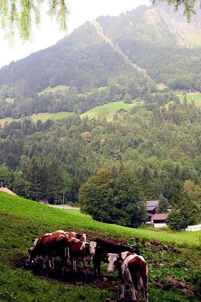 The racers faced steep mountains all around them.