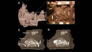 We see four images against a black background. Going clockwise, the top left shows where the burial was found on a gray map, next is a photo of the burial against the brownish-red soil; then we see two illustrations of human skeletons in a crouched position.
