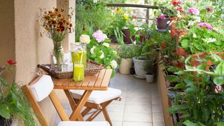 A balcony garden with lots of plants 