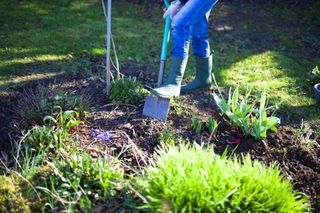 a gardener digging a hole in a garden