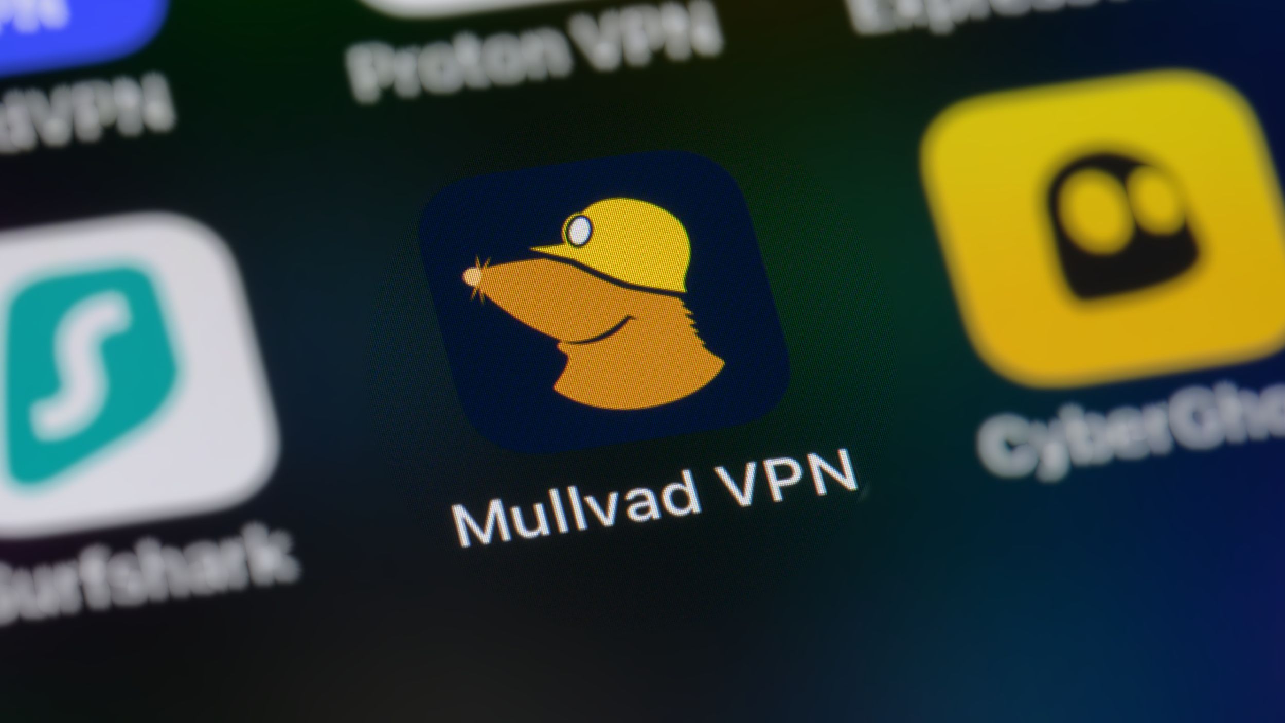 The CEO of Mullvad is the main financer of the far-right Swedish Örebro party