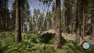 Sons of the Forest: The First 16 Minutes of Gameplay (Early Access