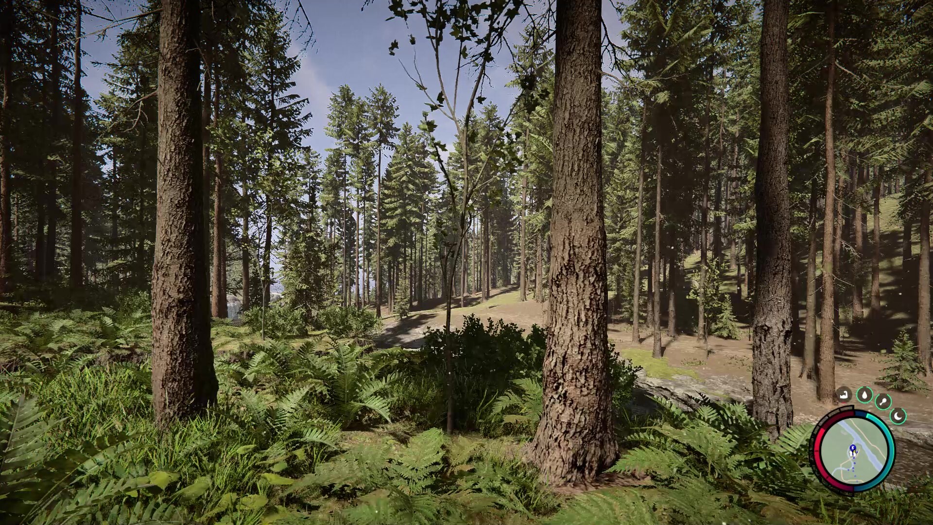 Steam игрока forest фото 49